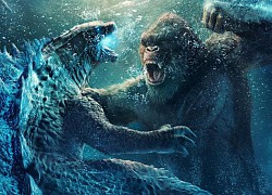 Giải mã toàn bộ tình tiết bí ẩn của Godzilla vs Kong: Chuyện gì đã thực sự xảy ra với "quê hương Ninh Bình"?