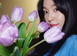 Irene (Red Velvet) gây "sốt" với visual trẻ trung trong ngày sinh nhật