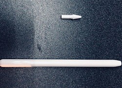 Apple Pencil mới lộ ảnh với thiết kế bóng bẩy và xịn hơn