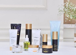 CEO Beauty Cosmetics và chiến lược kinh doanh mỹ phẩm trong thời kỳ cạnh tranh khốc liệt