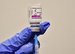 Đan Mạch phê duyệt sử dụng vaccine AstraZeneca cho người từ 65 tuổi trở lên