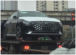 Hyundai Grandeur 2021 to ngang VinFast Lux A2.0 có mặt tại Việt Nam