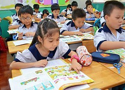 Đối với học sinh tiểu học, việc học ngoại ngữ nên là việc khuyến khích tự chọn hơn là ép buộc