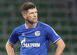 Thảm họa Schalke 04