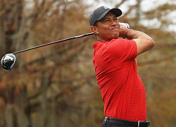 Tiger Woods không nhớ rõ nguyên nhân xảy ra vụ tai nạn xe hơi