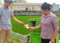 Xây dựng những miền quê xanh, an toàn