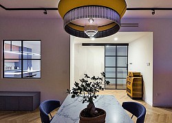 Căn hộ 50 năm tuổi được cải tạo đầy sức sống với màu neon trẻ trung