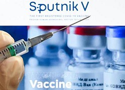 Chuyên gia y tế hàng đầu Mỹ đánh giá tích cực về vaccine Sputnik-V