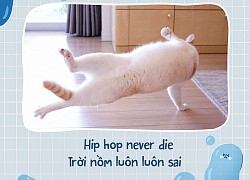 Có gì đáng ghét như trời nồm: Xuân hạ thu đông em không ngại, chỉ hãi duy nhất một mùa nồm