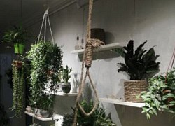 Ngỡ ngàng với màn rao bán thòng lọng treo cổ với mô tả 'giúp bạn thanh thản hơn', tuy nhiên không ai thèm mua!