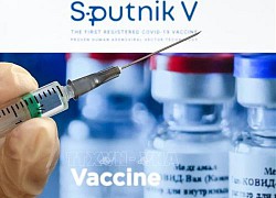 Sputnik V - Vaccine ngừa COVID-19 phổ biến thứ hai trên thế giới
