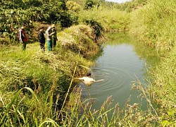 Bắn chết bạn khi đi săn