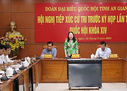 Đoàn đại biểu Quốc hội tỉnh An Giang tiếp xúc, gặp gỡ UBND tỉnh và các sở, ngành