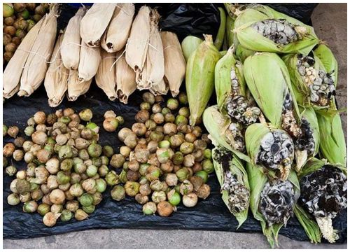 Huitlacoche: Món ngô mốc đen nổi danh ở Mexico