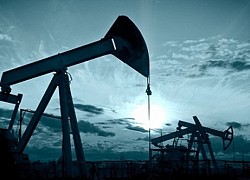 OPEC: Nhu cầu dầu thô toàn cầu trong năm 2021 sẽ tăng gần 6 triệu thùng/ngày