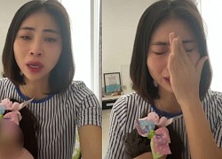 YouTuber Thơ Nguyễn suy sụp tinh thần, hẹn thanh tra làm việc hôm khác