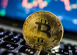 Bitcoin sẽ đi về đâu nếu cha đẻ của nó lộ diện?