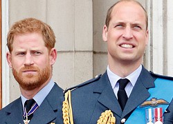 Chuyên gia hoàng gia tiết lộ sự thật "chua chát" về mối quan hệ giữa Hoàng tử William và Harry, công việc chung để tưởng nhớ Công nương Diana cũng bị bỏ ngỏ