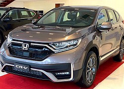 Doanh số xe ôtô Honda Việt Nam giảm sâu, City bán chạy nhất