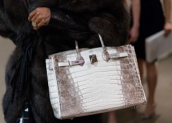 Hermès sẽ làm túi Birkin từ nấm