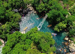 Mùa vàng anh nở tại Phong Nha