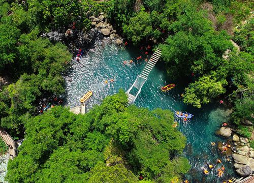 Mùa vàng anh nở tại Phong Nha