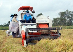 Nghị quyết 120 &#8220;thuận thiên&#8221; đi đúng hướng và mang lại hiệu quả