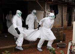 Phát hiện nguồn gốc của đợt Ebola mới