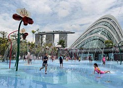 Tỷ lệ sinh của Singapore thấp nhất trong một thập kỷ