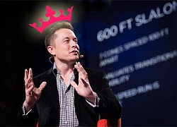 Elon Musk tự xưng là Vua, giám đốc tài chính Tesla trở thành "Bậc thầy về Coin"