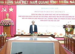 Kiểm tra việc triển khai nghị quyết của Đảng tại quận Nam Từ Liêm