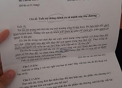 Lấy chủ đề 'tuổi trẻ chông chênh', đề thi Ngữ văn học sinh giỏi TP.HCM lập tức tạo 'sóng'