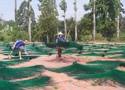 Ngỡ ngàng làng chiếu trăm năm được UNESCO vinh danh