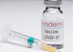 Singapore triển khai tiêm vaccine Moderna