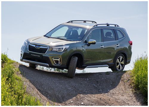 Subaru Forester và Outback sắp có phiên bản chuyên off-road: Mạnh hơn, cao hơn, được gắn mác mới