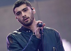 Zayn tiếp tục lên tiếng chỉ trích Viện Hàn lâm: "Hãy giải tán mấy hội đồng bí mật ấy đi nhé!"