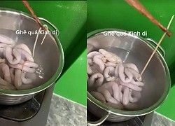 Cô gái đang luộc lòng thì sán vừa dài vừa béo núc ních chui ra