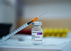 Dịch COVID-19: WHO châu Âu kêu gọi tiếp tục tiêm vaccine của hãng AstraZeneca