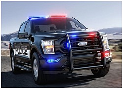 Ford F-150 phiên bản xe cảnh sát được ra mắt, giá 44.000 USD