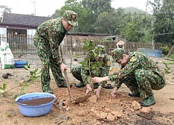 Giúp dân trồng hơn 200 cây trà hoa vàng phát triển kinh tế