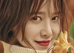 Goo Hye Sun - sao nữ chỉ sống nhờ một vai suốt 12 năm