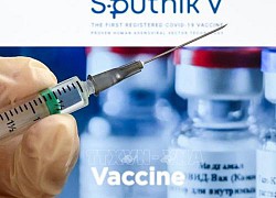 Hãng dược Ấn Độ có thể sản xuất 200 triệu liều vaccine Sputnik V