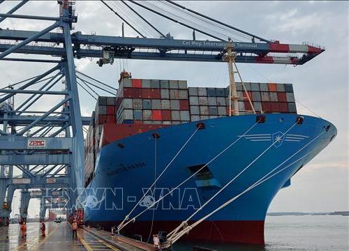 Kiểm tra giá vận chuyển container của nhiều hãng tàu ngoại