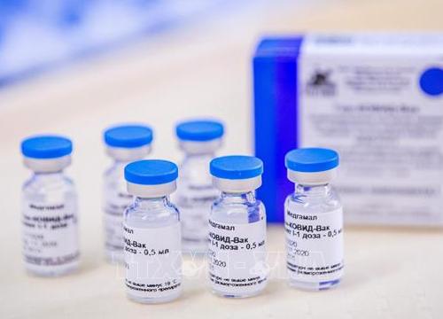 Mexico thu giữ gần 6.000 liều vaccine Sputnik V giả