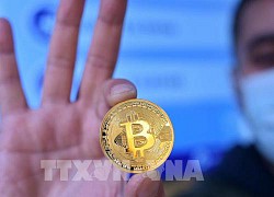 Pháp lần đầu tiên đấu giá bitcoin