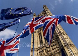 Thương mại Anh-EU hậu Brexit sụt giảm mạnh trong tháng 1