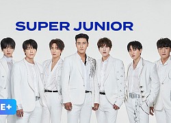 Vì sao ca khúc mới của Super Junior được WHO nhiệt tình quảng bá?