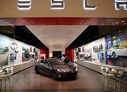 Chuyên gia dự báo cổ phiếu Tesla sẽ đạt ngưỡng 3.000 USD vào năm 2025