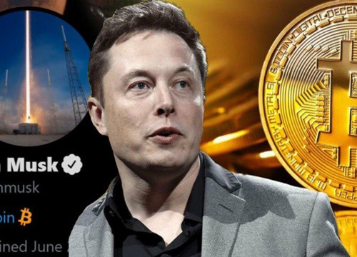 Dính phải trò lừa tặng Bitcoin trên Twitter Elon Musk, người đàn ông mất sạch hàng chục tỷ đồng