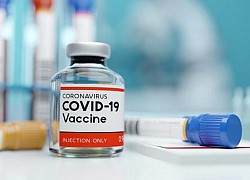 'Hộ chiếu vaccine' giả được bán tràn lan trên dark web